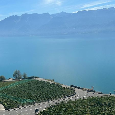 Room With 360° View Overlooking Lake Geneva And Alps Puidoux Extérieur photo