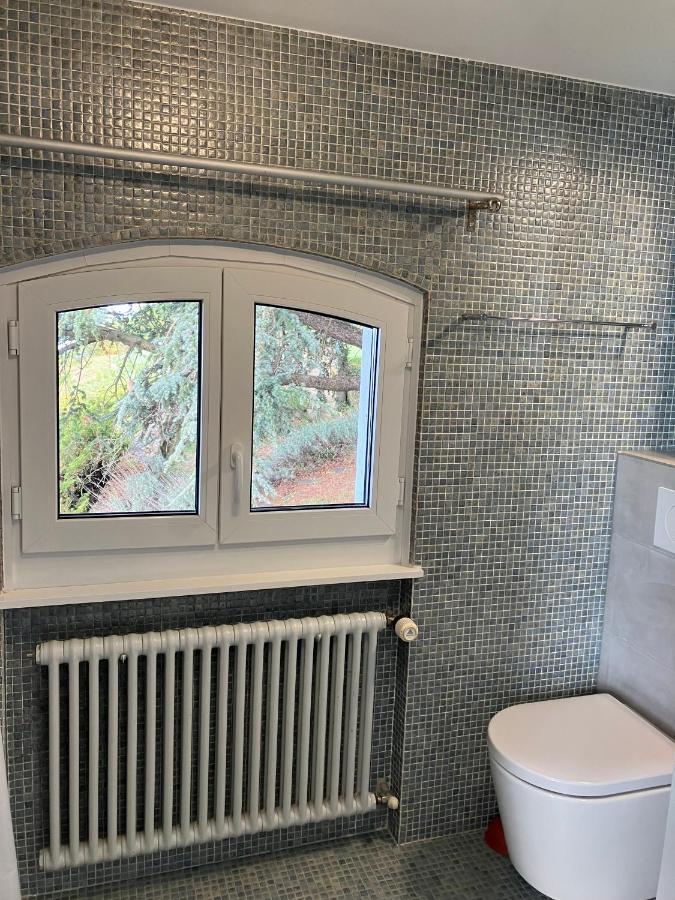 Room With 360° View Overlooking Lake Geneva And Alps Puidoux Extérieur photo
