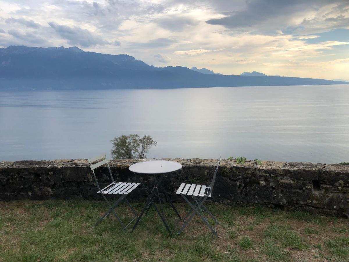 Room With 360° View Overlooking Lake Geneva And Alps Puidoux Extérieur photo
