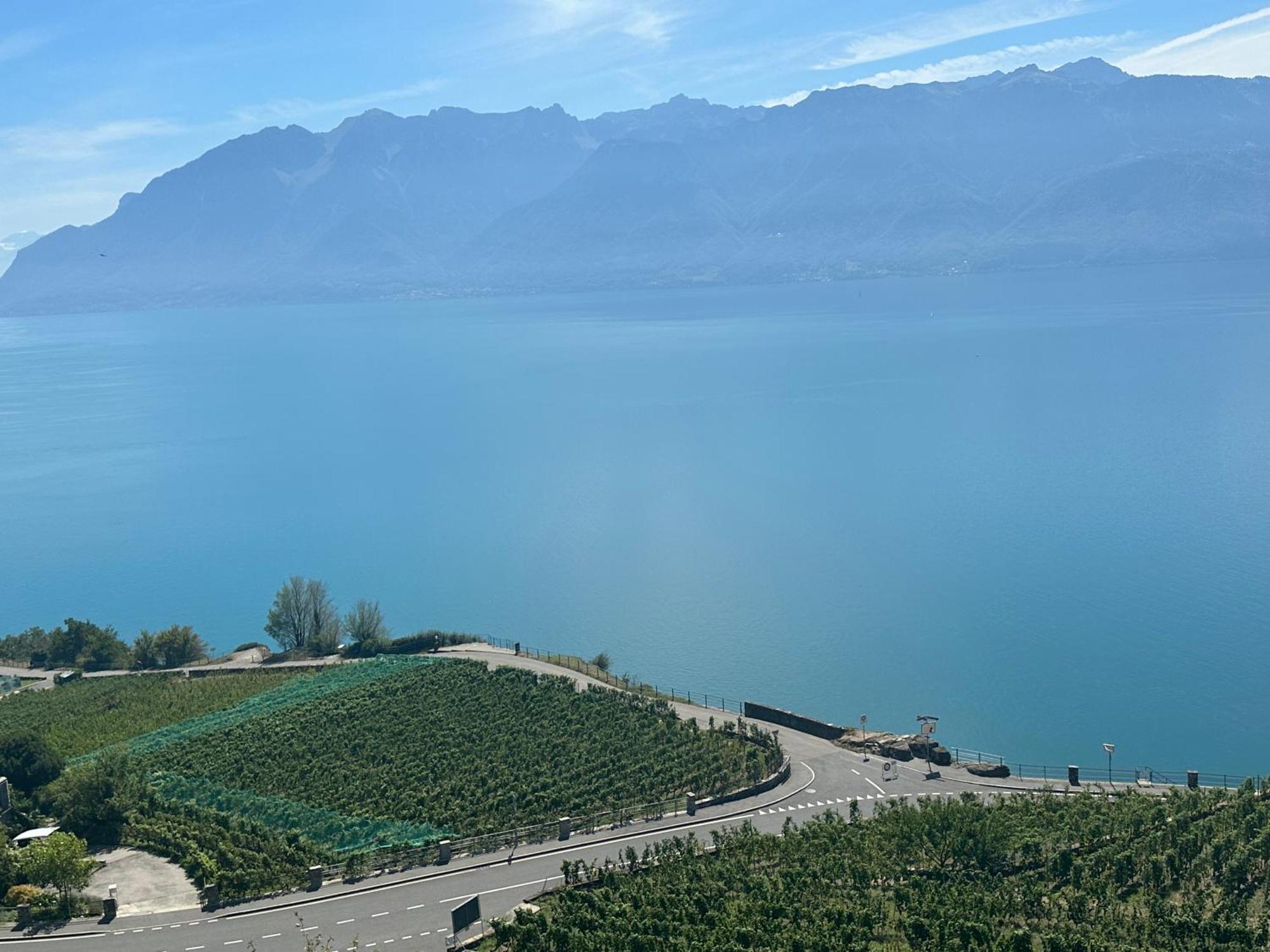 Room With 360° View Overlooking Lake Geneva And Alps Puidoux Extérieur photo